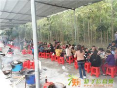 惠州大亚湾农家乐一日游好山好水好风光