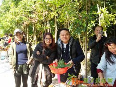 惠州大亚湾休闲农庄主题农家乐一日游