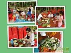 惠州大亚湾最特别的亲子游旅游尽享亲子时光