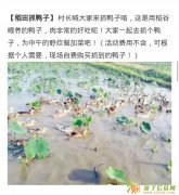 深圳哪里生态园最好？老兵拓展美丽乡村基地