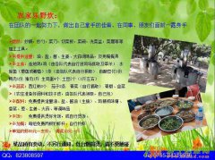 深圳哪里亲子游/深圳亲子游推荐/鹏城美丽乡村农家乐感受农家生