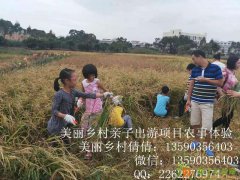 秋冬学校组织出游，团队出游，公司出游，首选美丽乡村生态园