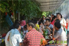惠州周边游大亚湾澳头农家乐特色柴火饭