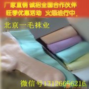 北京一毛袜业厂家直销外贸纯棉袜子 库存 尾货