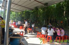 惠州大亚湾周边一日游农家乐精心策划