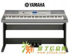 乐器回收北京高价上门回收乐器