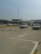 南城鸿福路口 步行街 第一国际 西平报名学车考驾照60天拿证