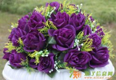 北京庆典用品鲜花路引出租