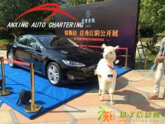 上海租特斯拉汽车P85D特斯拉租赁展示全国巡游租特斯拉