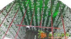 广西美丽农村污水整治玻璃钢生活污水处理设备