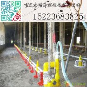 水线 养殖设备 养鸡水线 肉鸡水线 蛋鸡水线 自动饮水系统