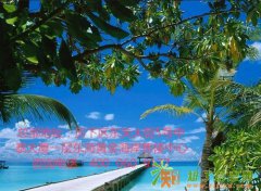 烟台东海黄金海岸海景房郁郁葱葱黑松林