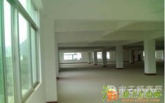 广州办公室装修厂房装修店铺装修大小全做欢迎咨询