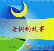 山东小学语文寒假补习：如何提高孩子学习兴趣