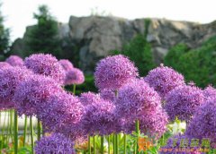 婚礼场地挑选原则119婚庆网