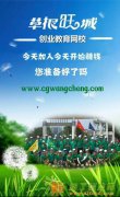 天津不想打工做什么好 来草根旺城学创业