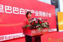 阿里巴巴白沟箱包产业带，全国最大推广平台