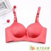 迈菲琳招聘网络兼职推广无痕无钢圈聚拢时尚文胸代理