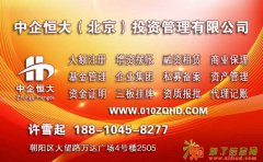 国家局中字头快速核名