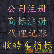 有限责任公司及其特点