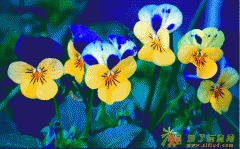 环境影响评价工程师报名中