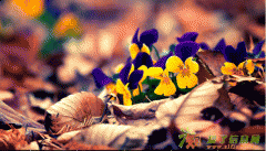 联系我吧 一级建造师报名不是梦