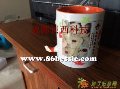 贝西科技 DIY卡贴 热转印杯子T恤在线系统