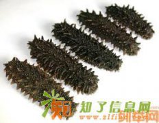 官员桥高价回收冬虫夏草13811891370回收参灵草