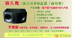 白蚁药上门灭白蚁多少钱长沙灭白蚁公司