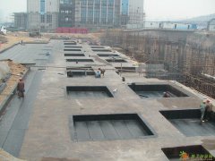 放心的防水补漏专家顺捷兴团队