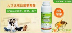 杀跳蚤药彻底消灭跳蚤的方法