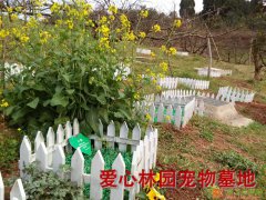 成都爱心林园宠物公墓墓地殡葬火化