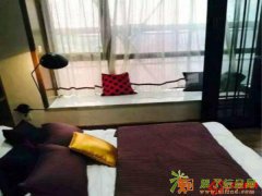 天天可以看见大明星的房子，总价只要50W心动嘛？？？