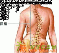 北京主治脊柱弯曲的医院