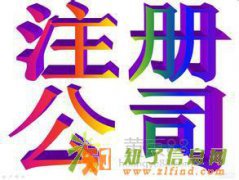 专业会计服务投资服务机构