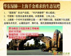 首付3万轻松买房——嘉兴住宅平湖罗马假日优质房源正在开售！