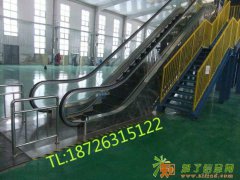 青岛最快电梯落户国际航运中心