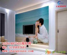 家饰家装 背景墙打印机 高精度高速度南京厂家