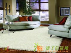 【广州地毯】广州家用地毯一平方价格多少