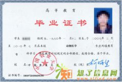 2016年春季网络教育专科本科班报名中