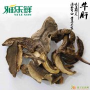 蘑菇汤原料 菌汤原料—雅乐鲜黑牛肝