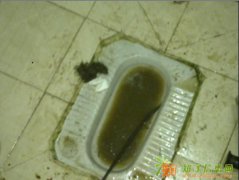 专业管道疏通/阴沟疏通/马桶疏通/地漏疏通