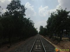 昆明资料员建筑识图天正CAD招投标培训