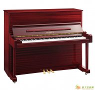 郑州红日钢琴厂母亲节特大优惠来啦，租钢琴只限1元/天啦