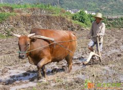 上海宝山区大华新村华灵路空调维修