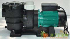 耐腐蚀工程塑料水泵艾克水泵AP150用于水产/泳池/污水处理