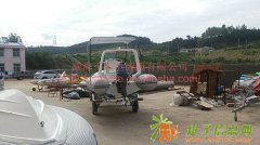 钓鱼专用橡皮艇批发厂家