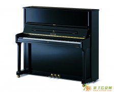 我们的钢琴出租有很大的备货量及品种，费用低