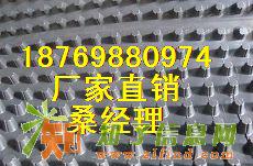 供应湖北屋顶绿化排水板/蓄排水板