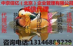 办理海淀区朝阳区大兴区公司吊销转注销公司非正常注销